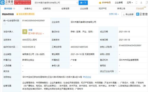 专业咨询策划服务 助力企业高效决策与持续发展