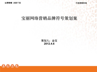 宝丽网络营销品牌符号策划案